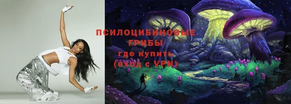 первитин Няндома