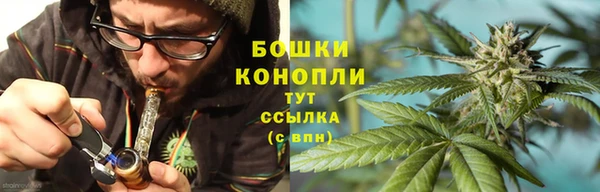 спайс Арсеньев
