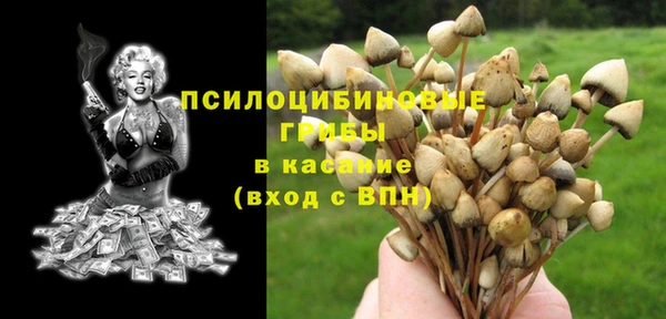 мет Армянск