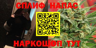 a pvp Ставрополь