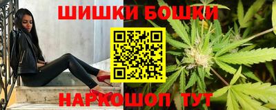 a pvp Ставрополь