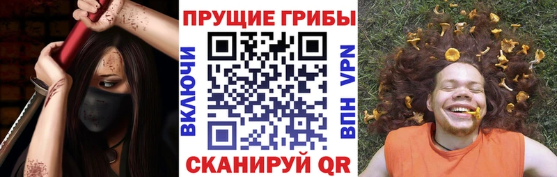 Галлюциногенные грибы GOLDEN TEACHER  Тейково 