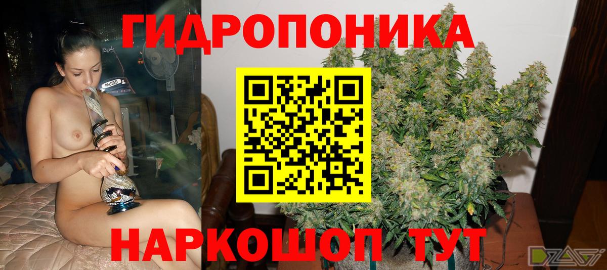Бошки Шишки MAZAR Тейково
